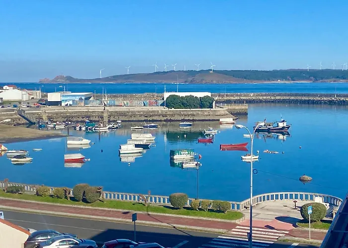 Noa דירה מוחיה